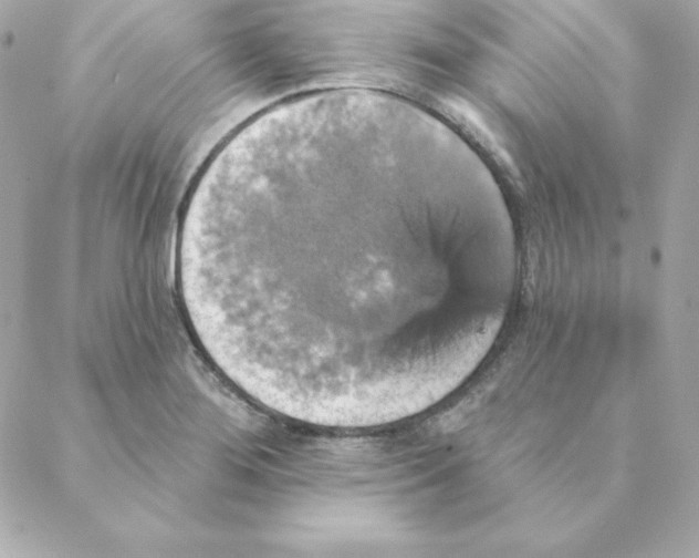 X0000088201276200706051223