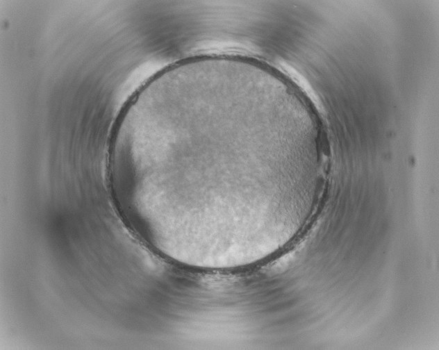 X0000088201277200706051223