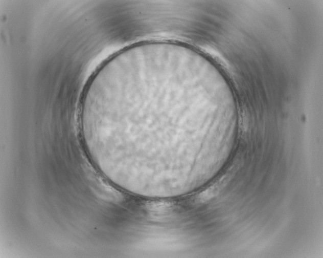 X0000088201278200706051223