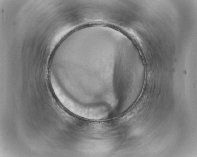 X0000088201279200706051223