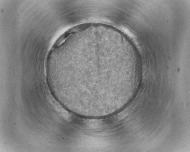 X0000088201280200706051222