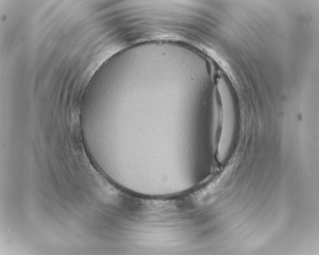 X0000088201281200706051222