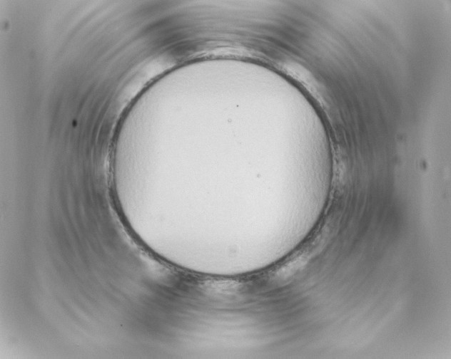 X0000088201282200706051222