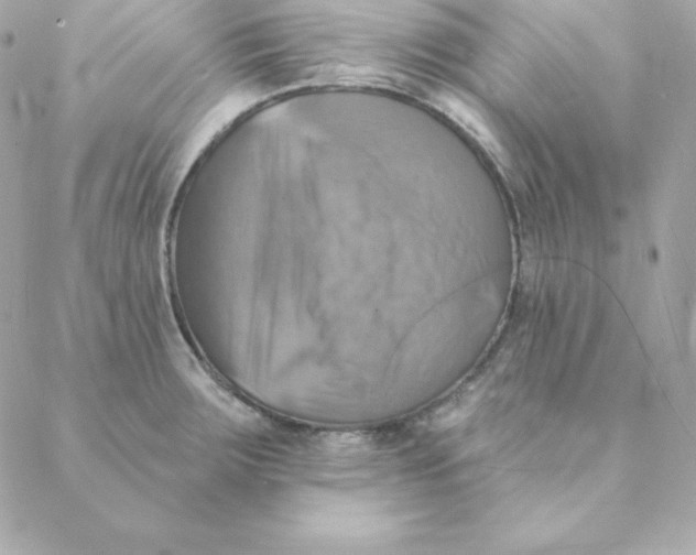 X0000088201283200706051222