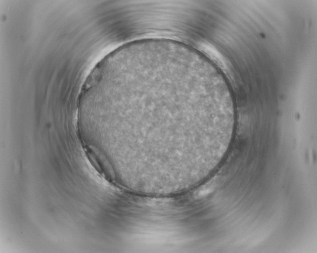 X0000088201284200706051222