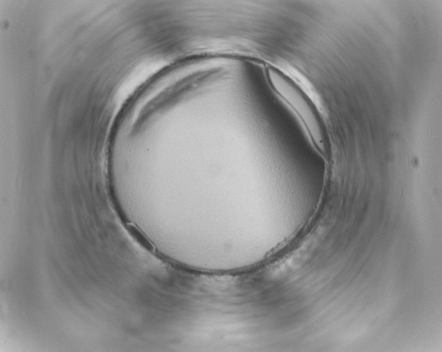 X0000088201285200706051222