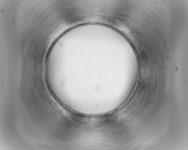 X0000088201286200706051222