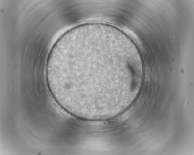 X0000088201288200706051222