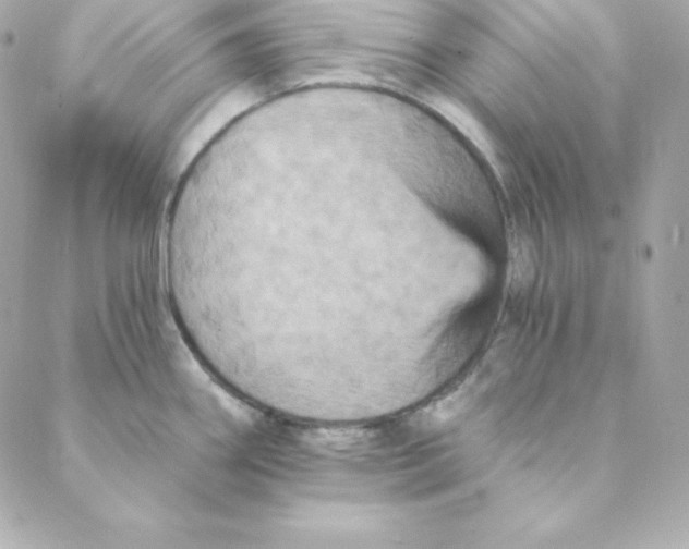 X0000088201290200706051222