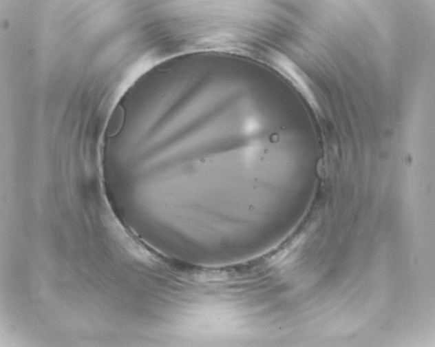 X0000088201291200706051222