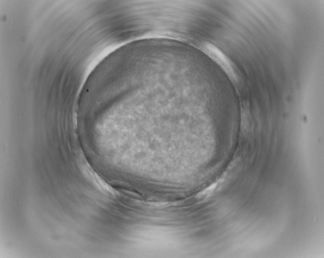 X0000088201292200706051222