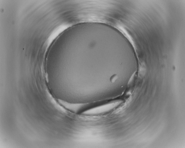 X0000088201293200706051222