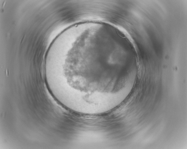 X0000088201295200706051222