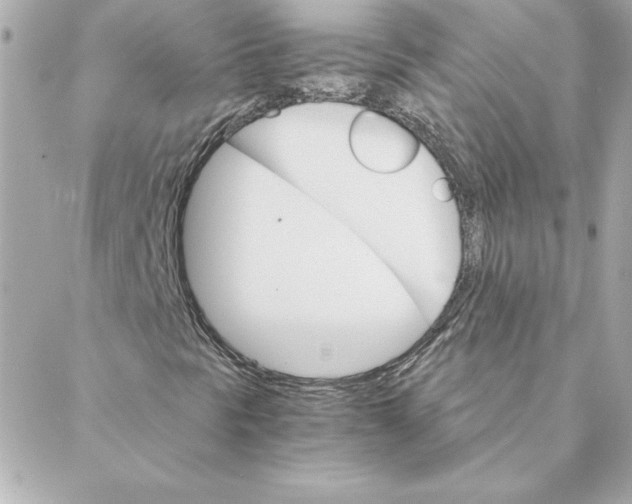 X0000088201297200706051221