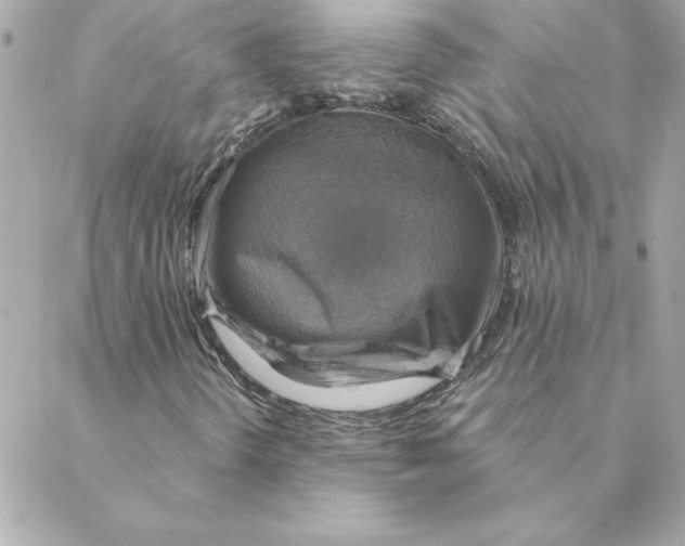 X0000088201298200706051221