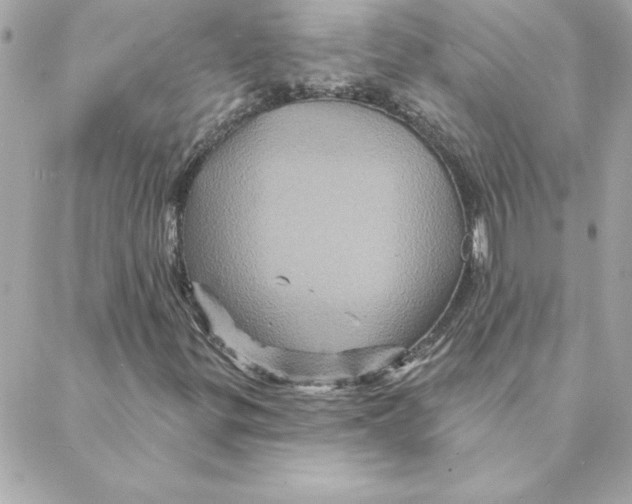 X0000088201299200706051221