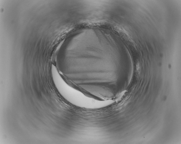 X0000088201300200706051221