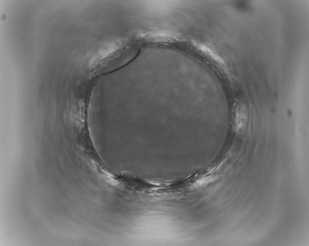 X0000088201301200706051222