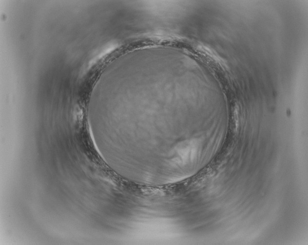 X0000088201302200706051222