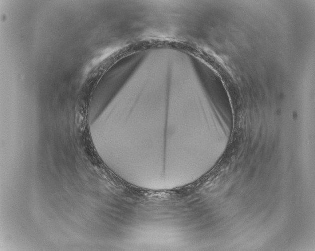 X0000088201303200706051222