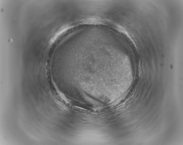 X0000088201304200706051222