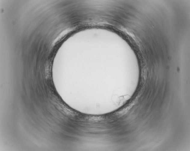 X0000088201306200706051222