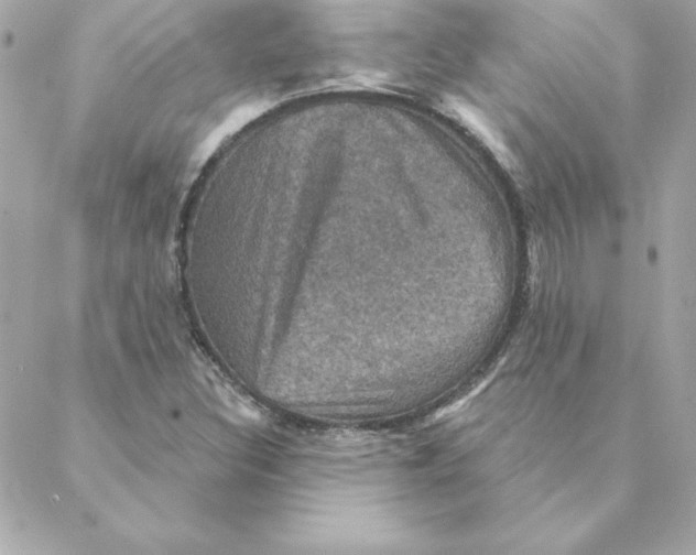 X0000088201308200706051222