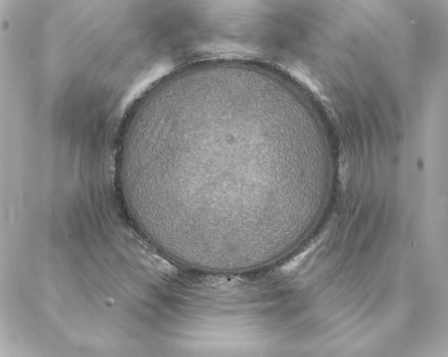 X0000088201309200706051222