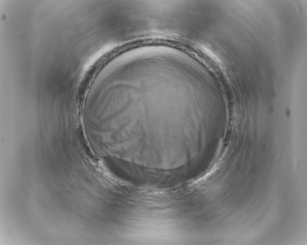 X0000088201310200706051222