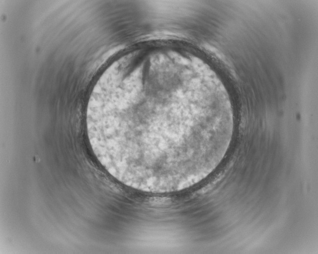 X0000088201313200706051222