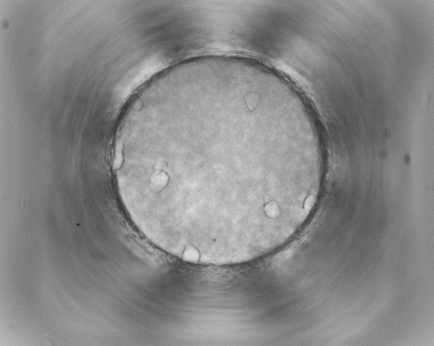 X0000088201314200706051222