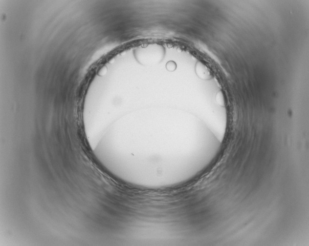 X0000088201315200706051222