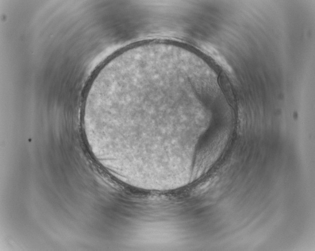 X0000088201316200706051222