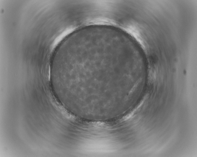 X0000088201317200706051222