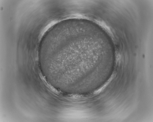 X0000088201318200706051222