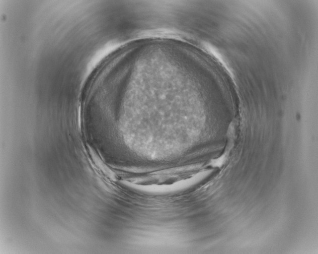 X0000088201320200706051222