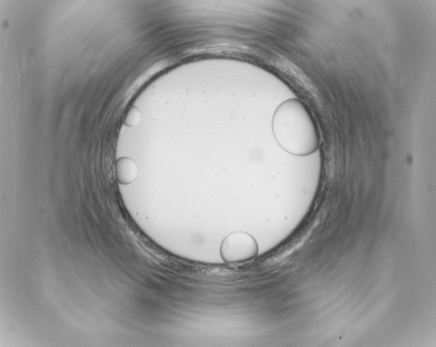 X0000088201321200706051222