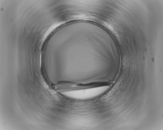 X0000088201323200706051222