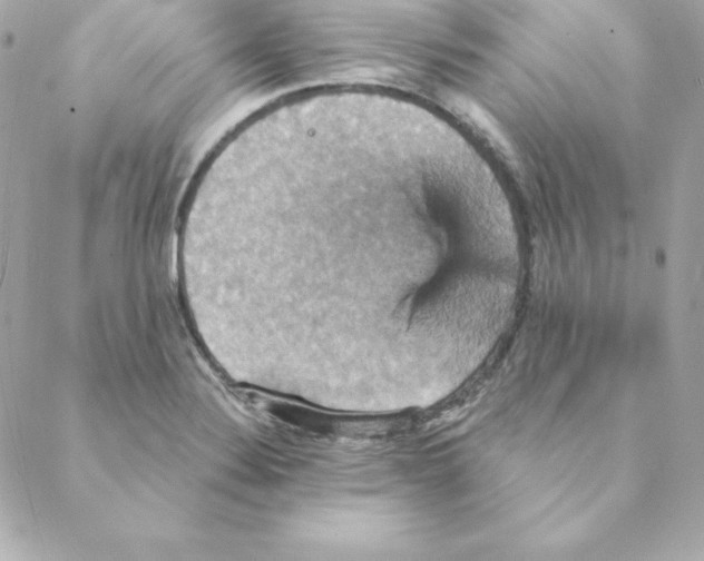 X0000088201324200706051222