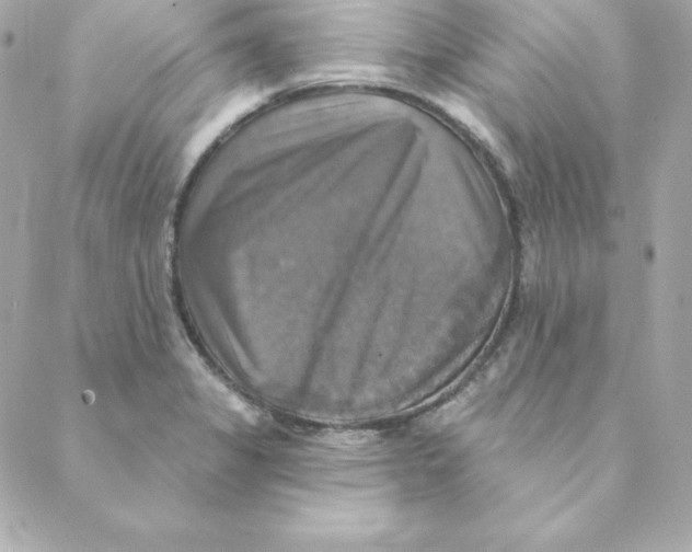 X0000088201325200706051222