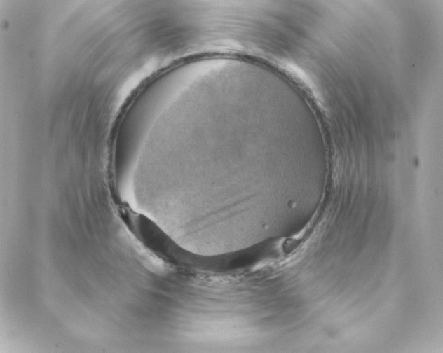 X0000088201326200706051222