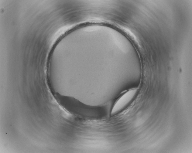 X0000088201327200706051222