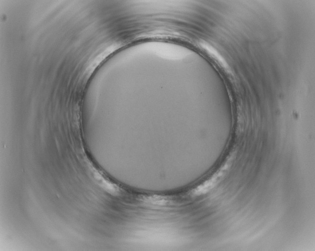 X0000088201329200706051222