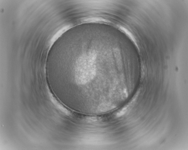 X0000088201330200706051222