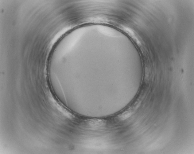 X0000088201331200706051222