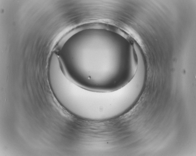 X0000088201332200706051222