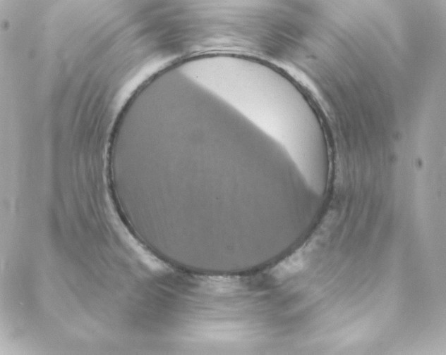 X0000088201333200706051222