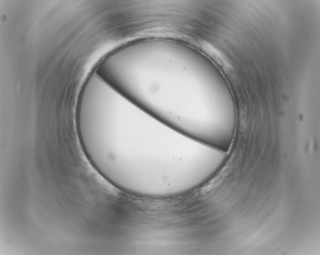 X0000088201334200706051222