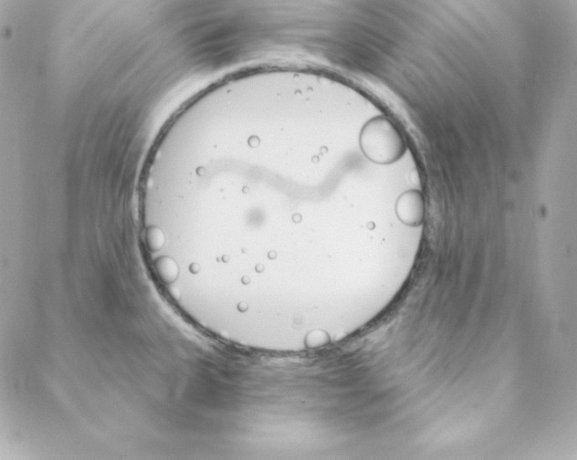 X0000088201335200706051222