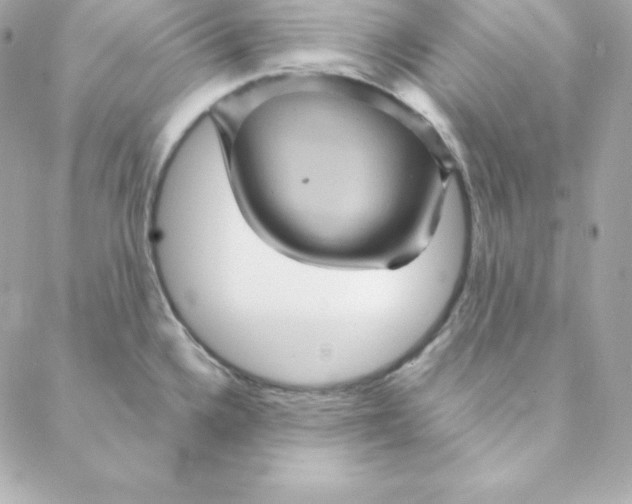 X0000088201336200706051222